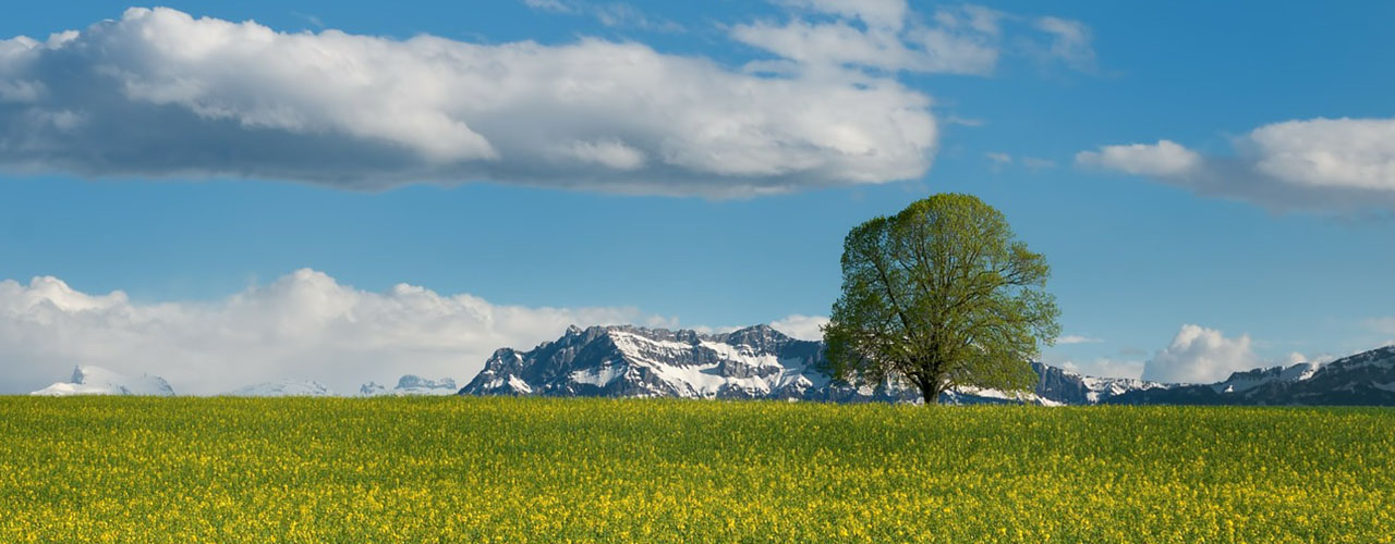 Nachrichten